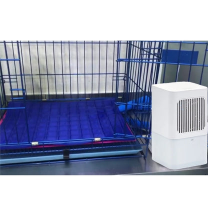 Solaura CoolDown Mat — Active Water-Cooling Mat for Dogs