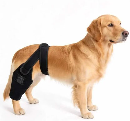 Solaura Stifle Recovery Wrap