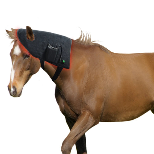 Solaura Equine Head & Neck Wrap | Red Light Therapy for Horses