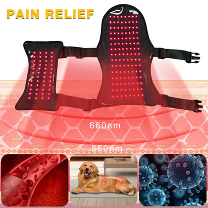 Solaura Pro Vest