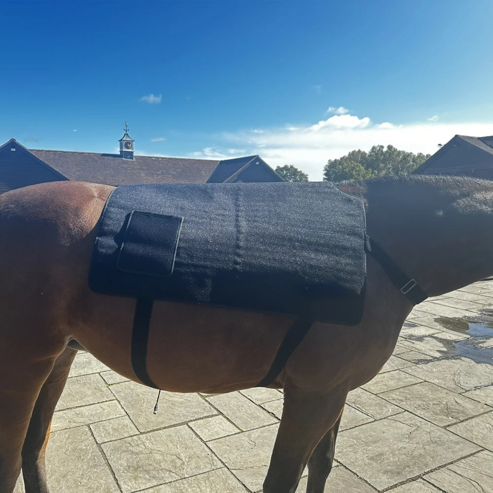 Solaura Equine Therapy Blanket — Red Light Therapy for Horses