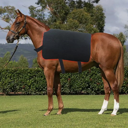 Solaura Equine Therapy Blanket — Red Light Therapy for Horses