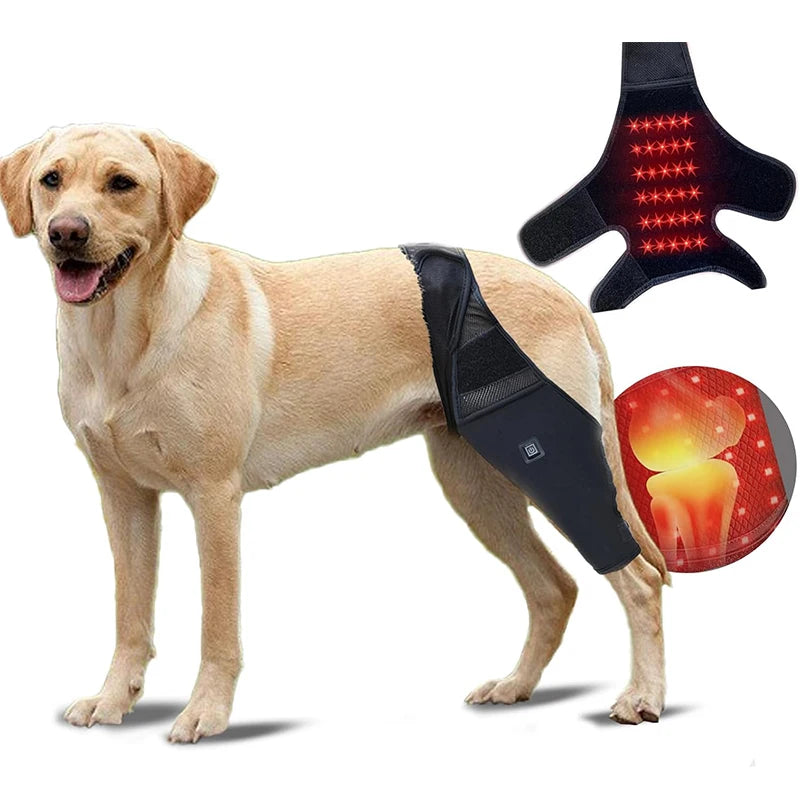 Solaura Stifle Recovery Wrap